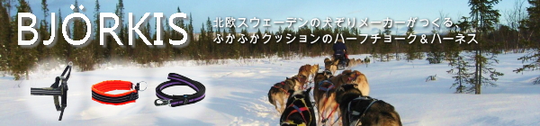 ビヨルキス bjorkis ロゴハーフチョークカラー(首輪)、ハーネス、リードが再入荷!|犬グッズ・用品通販HAU