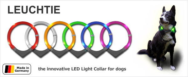 犬用ライト、夜のお散歩用交通安全グッズ、光る首輪|LEDドッグカラー LEUCHTIE (犬用セーフティーライト)|犬グッズ通販HAU