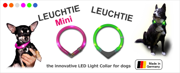 ���ѥ饤�ȡ���Τ������Ѹ��̰������å���������ء�LED�ɥå����顼 LEUCHTIE �ʸ��ѥ����եƥ����饤�ȡˡø����å�����HAU