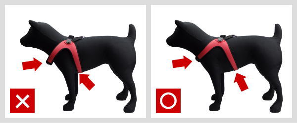 Sporza スポルツァ｜フィッティングのコツ2｜犬グッズ通販HAU