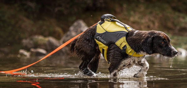 水遊び、海・川でも防水で濡れない｜丈夫なダイニーマ使用のドッグリード｜犬グッズ通販HAU