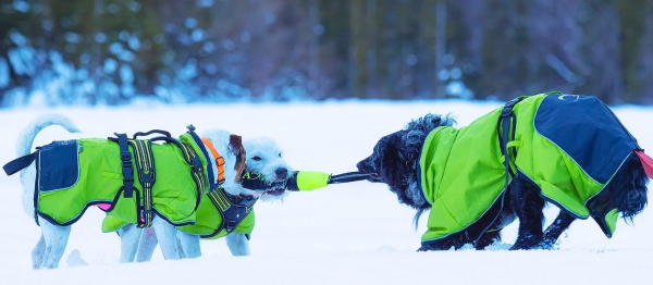 アクサエコ ピッペン AXAECO（多目的犬用おもちゃ/ドッグトイ）引っ張り、綱引き遊び｜犬グッズ通販HAU(ハウ)