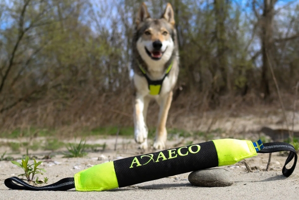 アクサエコ ピッペン AXAECO（多目的犬用おもちゃ/ドッグトイ）遠くまで投げられる｜犬グッズ通販HAU(ハウ)