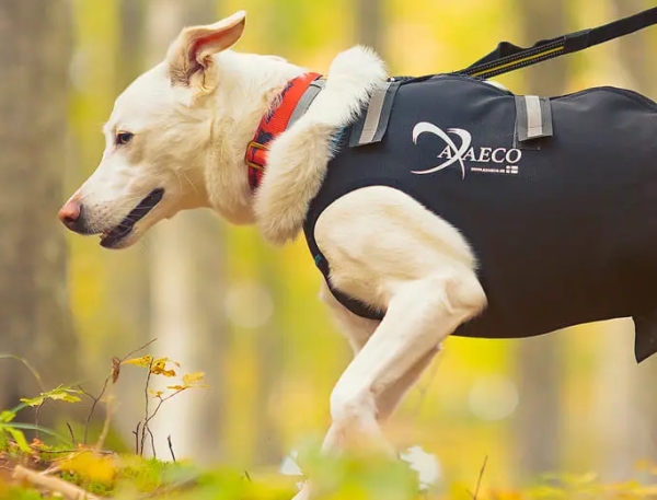 アクサエコ スレッドドッグカラー AXAECO（大型ブロンズ製Oリング使用/犬用首輪）｜バックルナイロン首輪｜犬グッズ通販HAU