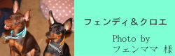 フェンディ＆クロエ｜ビヨルキス ハーフチョークカラー BJORKIS｜HAU ビヨルキス、北欧犬グッズ通販