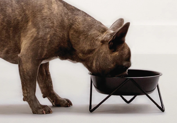 WOOF シングルドッグボウル Bendo｜高さのあるスタンド付きデザイナーズ犬用食器、フードボウル｜犬グッズ通販HAU（ハウ）