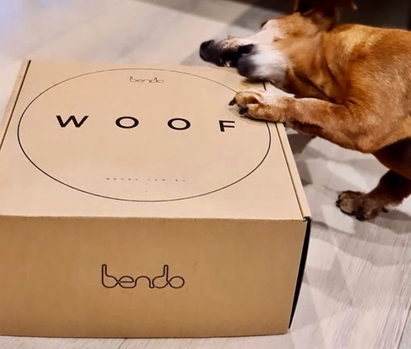 WOOF シングルドッグボウル Bendo｜プレゼントにもおすすめのギフトボックス仕様フードボウル、犬用食器｜犬グッズ通販HAU（ハウ）