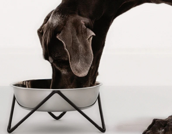 WOOF XL 大型犬用シングルドッグボウル Bendo｜姿勢が楽で食べやすい、飲みやすいスタンド付き犬用食器、フードボウル｜犬グッズ通販HAU（ハウ）