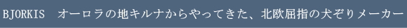 ビヨルキス(BJORKIS) オーロラの地キルナからやってきた、北欧屈指の犬ぞりメーカー
