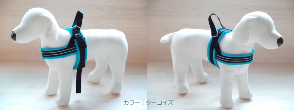 装着例|ビヨルキス ハーネス BJORKIS|犬グッズ通販 HAU(ハウ)