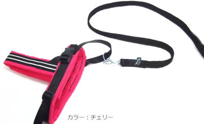 ビヨルキス ハーネス&ナイロンリード BJORKIS|犬グッズ通販 HAU(ハウ)