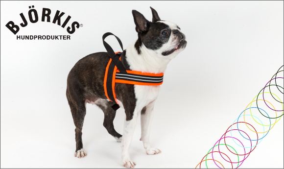 スウェーデンのおすすめ犬用品ビヨルキス bjorkis ハーフチョークカラー、ハーネス、犬用リード｜犬グッズ通販HAU