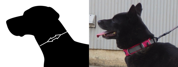 やわらかいパッド構造が首にやさしいデンマーク製犬用首輪(ドッグカラー)|ドッグコペンハーゲン アーバンエクスプローラーカラー|犬グッズ通販HAU 1cm&1.5cm幅カラー 犬用 首輪 DoubleLine
