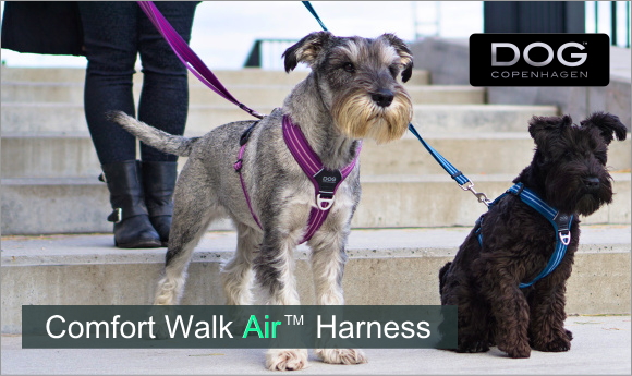 お散歩におすすめ やわらかい、軽いで快適なデンマーク犬用胴輪|ドッグコペンハーゲン コンフォートウォークエアハーネス|HAU