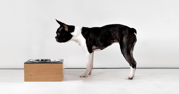 「スモーガスボード」は、アメリカ人家具デザイナーLuke Wongによるデザインの犬用食器セット｜犬グッズ,犬用品通販HAU