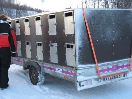 そり犬カー1｜犬グッズ通販HAU 北欧旅行記