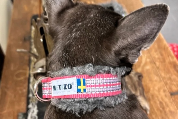 メティゾフェイクシープスキンハーフチョークカラー｜おしゃれでかっこいい海外ブランド犬用品｜犬グッズ通販HAU