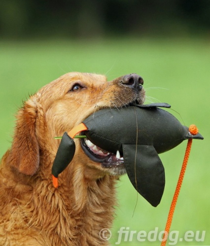 ダックダミーは鳥の形をした本格ダミー。400gのずっしりとしたダミー。中型犬,大型犬におすすめ HAU