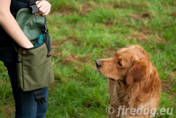 ドッグカフェなどのお出かけに活躍｜FIREDOG ミニダミーバッグデラックス｜犬グッズ通販HAU