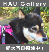 HAU Gallery｜犬グッズ通販HAU（ハウ）
