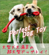 丈夫な犬用おもちゃ｜パーフェクトドッグトイ（噛む、投げる）｜犬グッズ通販HAU（ハウ）