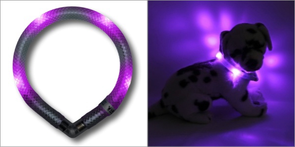 流行のアイテム セーフティ ライト レッド ペット LED 散歩 犬 首輪 安全 リード