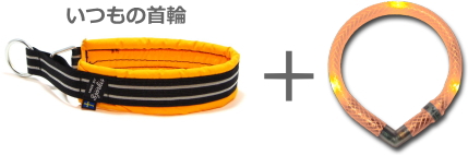 光る首輪ではないので、丈夫で使いやすいいつもの首輪もつけられる｜LEUCHTIE　Mini小型犬用｜犬グッズ通販HAU