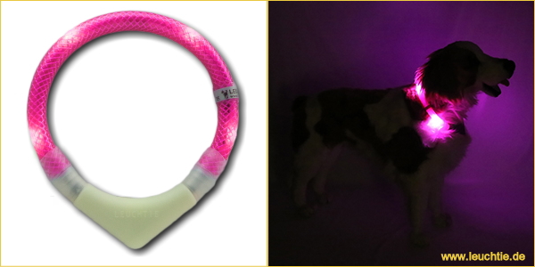 ホットピンク｜犬の交通安全ライト、光る首輪｜LEDドッグカラー LEUCHTIE Plus （犬用セーフティーライト）｜犬グッズ通販HAU