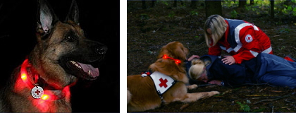 レスキュー犬、警察犬、夜間のハンティングゲームで使用｜犬の交通安全ライト、光る首輪｜LEUCHTIE Plus｜犬グッズ通販HAU