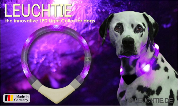 犬用ライト、夜のお散歩用交通安全グッズ、光る首輪|LEDドッグカラー LEUCHTIE (犬用セーフティーライト)|犬グッズ通販HAU