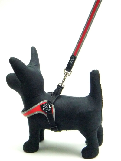 ハーネス・首輪とのおそろいにおすすめの小型犬用リード｜Tre Ponti トレ・ポンティ｜犬グッズ通販HAU
