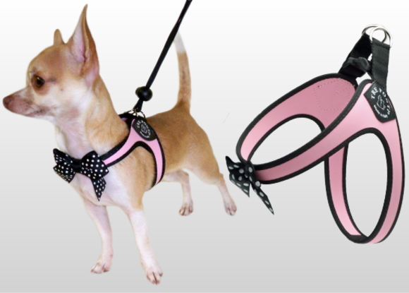 超小型犬、猫、小型犬用ハーネス｜Fibbia-Polkadot Bow  Tre Ponti トレ・ポンティ｜犬グッズ通販HAU