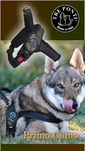 中型犬用・大型犬におすすめのドッグハーネスPrimo（プリモ）に新色カモ入荷｜Tre Ponti トレポンティ｜犬グッズ通販HAU