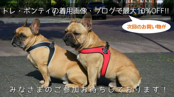Tre Ponti（トレ・ポンティ）割引キャンペーン実施中｜犬グッズ通販HAU