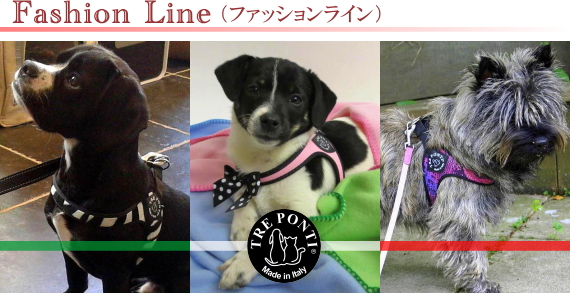 Tre Ponti（トレ・ポンティ）犬用ハーネス《Fasion Line》｜犬グッズ通販HAU