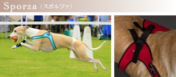 Tre Ponti（トレ・ポンティ）犬用ハーネス《Sporza》の特徴｜犬グッズ通販HAU