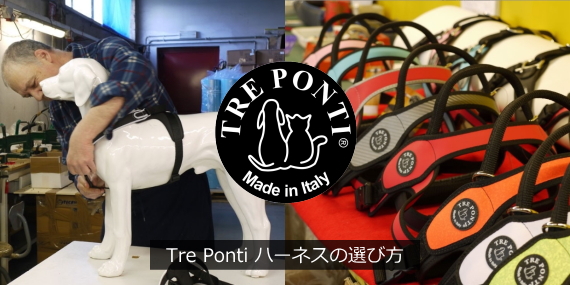 Tre Pont（トレ・ポンティ）犬用ハーネスの選び方、おすすめ、犬用ハーネスの種類、ランキング｜犬グッズ通販HAU