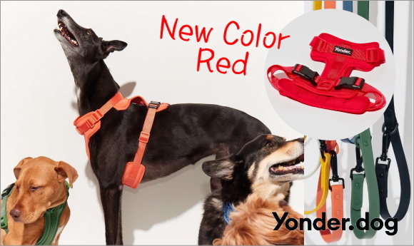 ヨンダードッグ Yonder.dog｜水遊び、防汚、防水、汚れない犬具 オーストラリア 犬用首輪、リード、ハーネス｜犬グッズ通販HAU（ハウ）